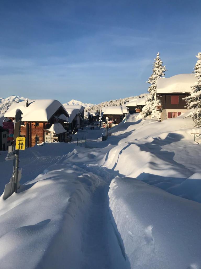 Hotel Alpfrieden photo 1