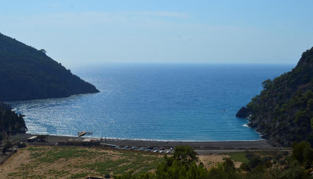 Erasmus Apart Hotel photo 3