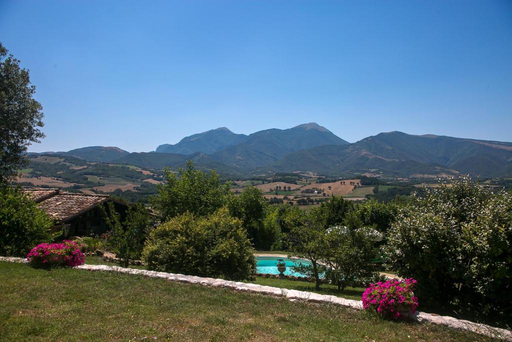 La collina dei ciliegi photo 2