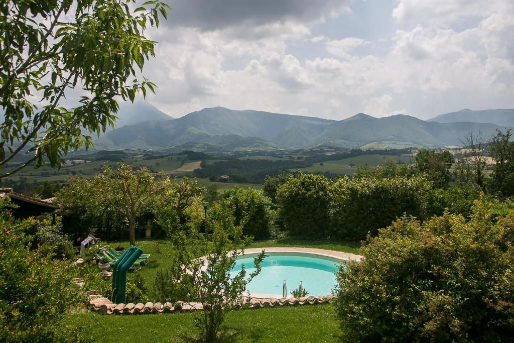 La collina dei ciliegi photo 3