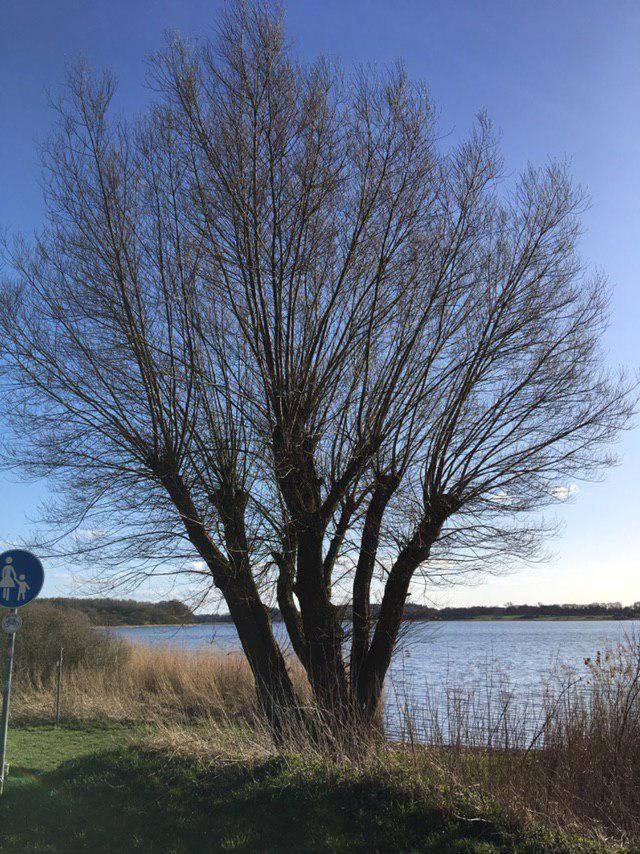 Ferienwohnung am Noor nahe Schleswig und dem Wikingerdorf Haithabu - Tap to explore photos