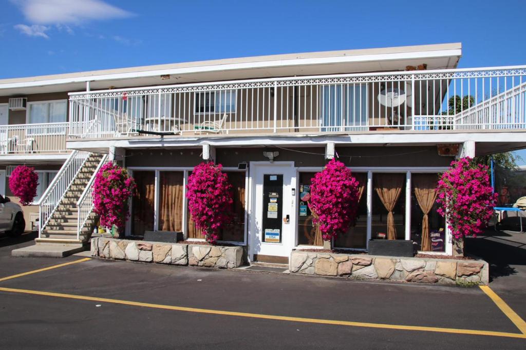 Plaza Motel photo 3
