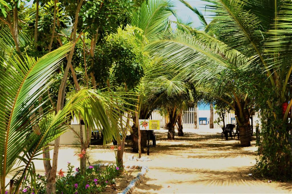 Shim Beach Resort photo 3