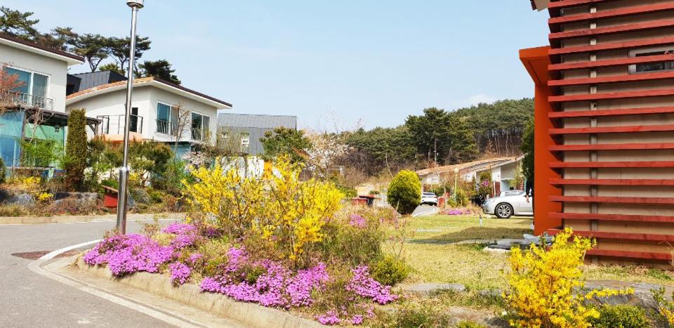 Daecheon Baroh Village photo 4