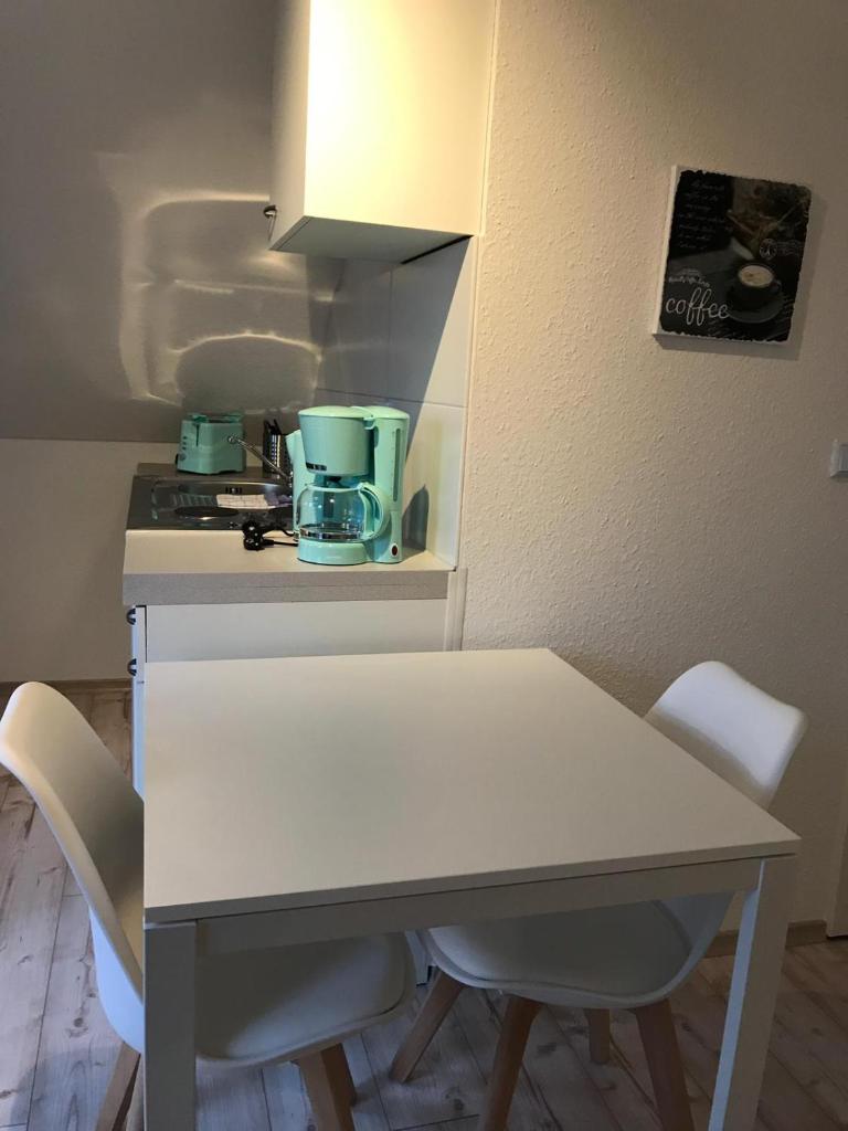 Kleine Möwe photo 2