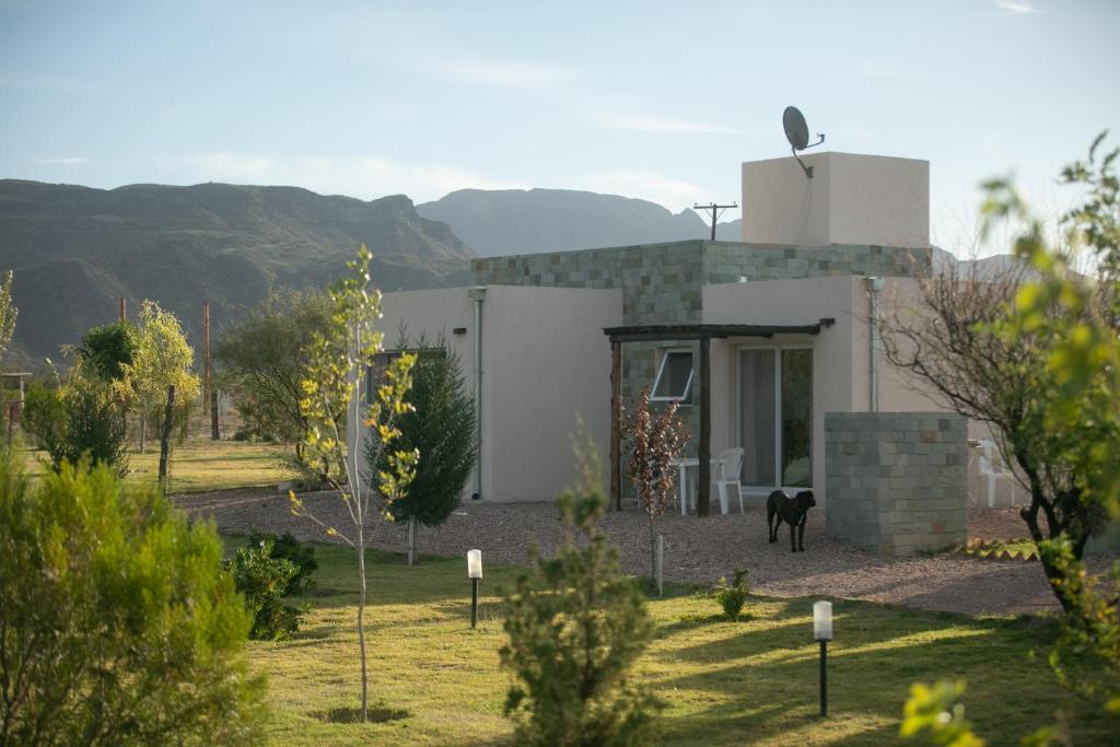 Cabañas EcoNature photo 2