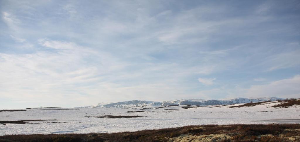 Vats Fjellstue photo 4
