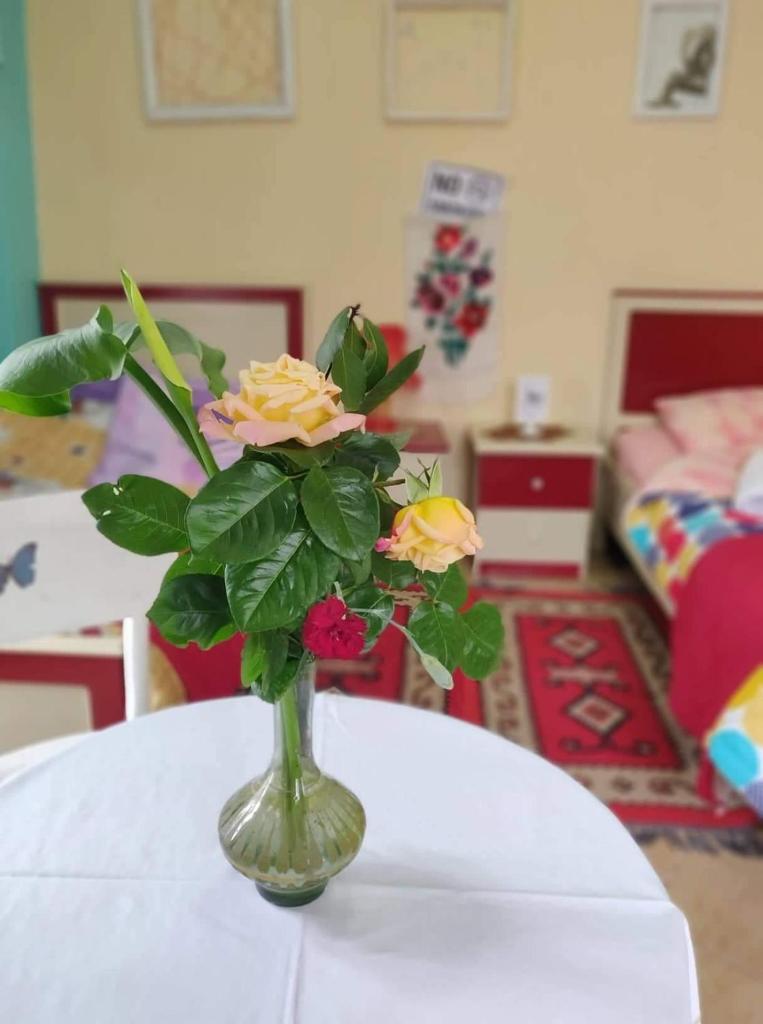 Private room historic center Elbasan photo 4
