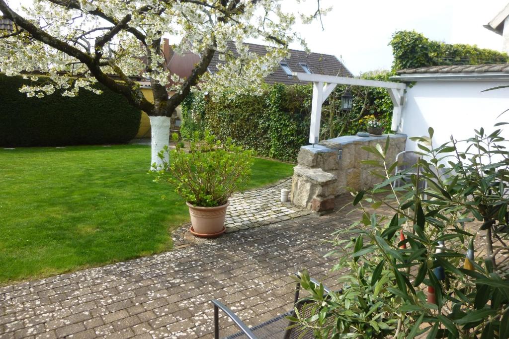 Ferienwohnung Kirschblüte photo 2