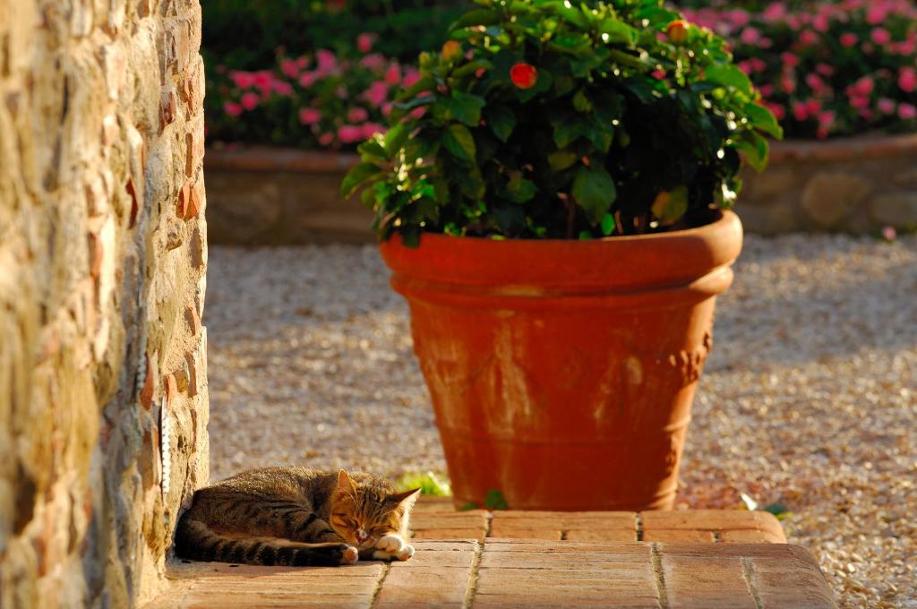 Relais Borgo Torale photo 2