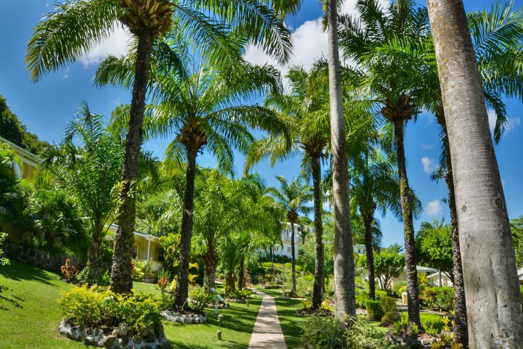 Blue Horizons Garden Resort photo 2