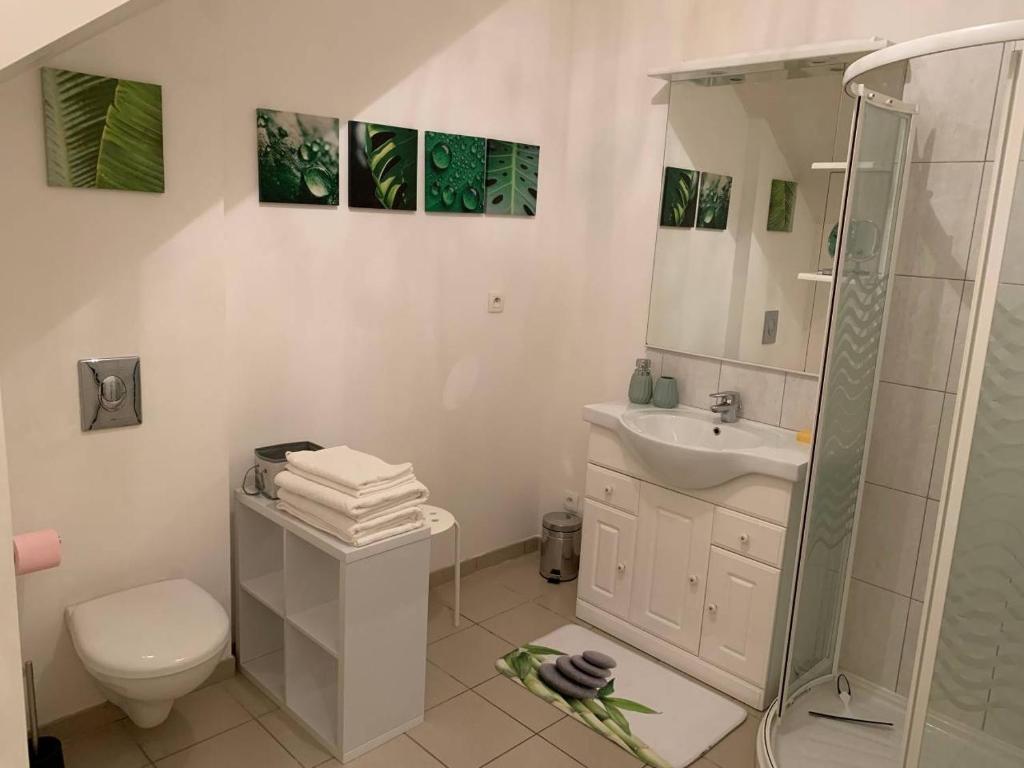CHARMANT T2 PROCHE CENTRE VILLE PLAGE JARDIN DIOR 50 m2 photo 3