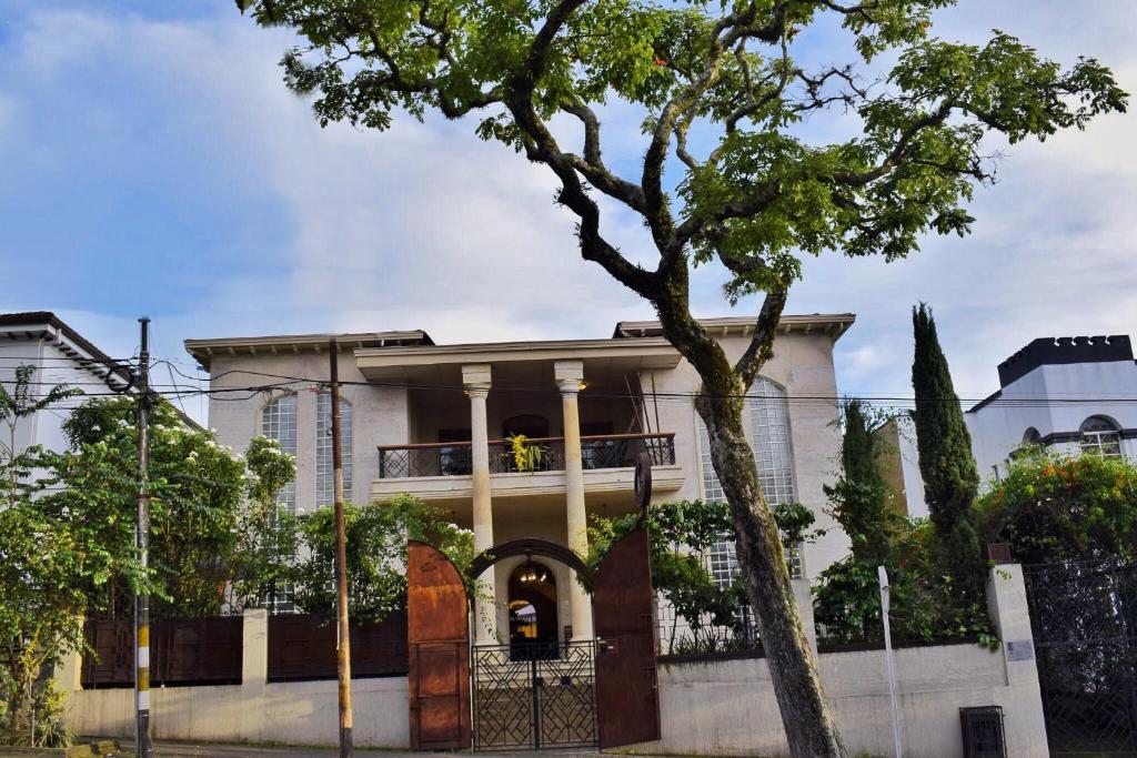 Hotel Don Alfonso photo 3