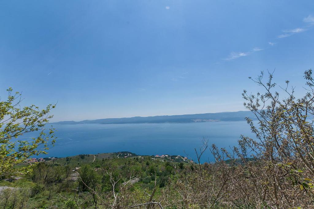 House Darijo photo 2