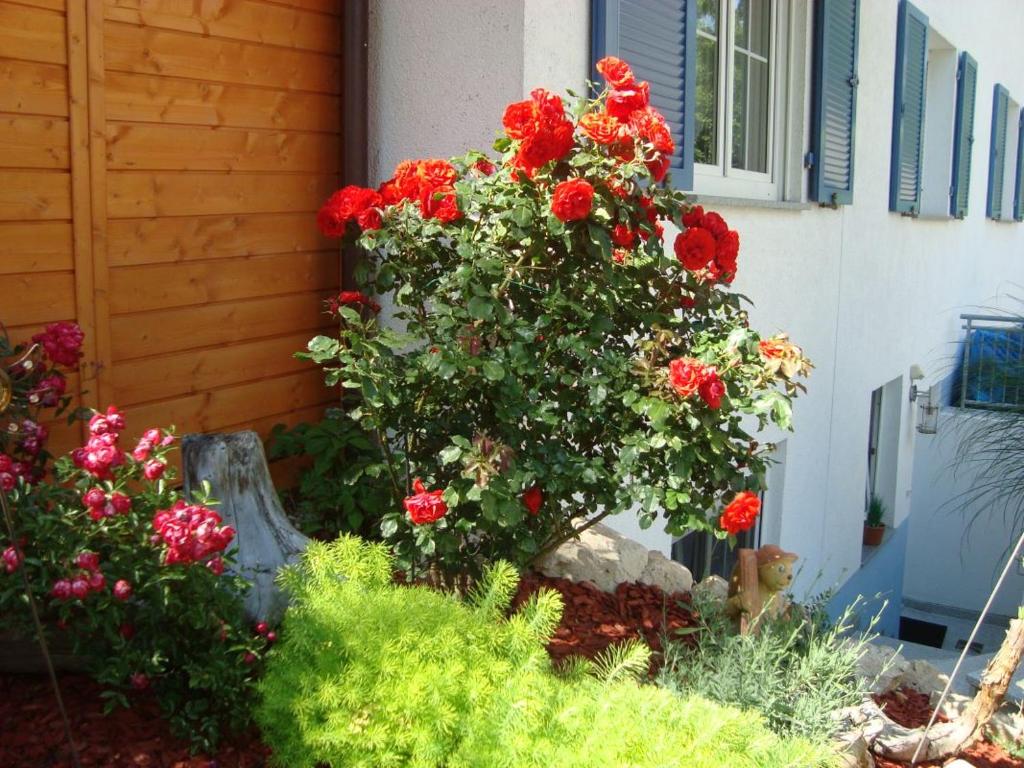 Ferienwohnung Weiser photo 2