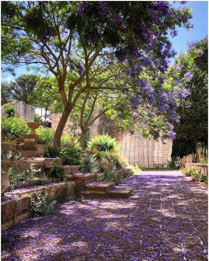 Villa Margherita Residence photo 2