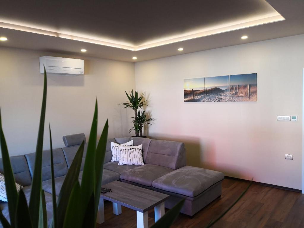 Bonito apartment photo 1