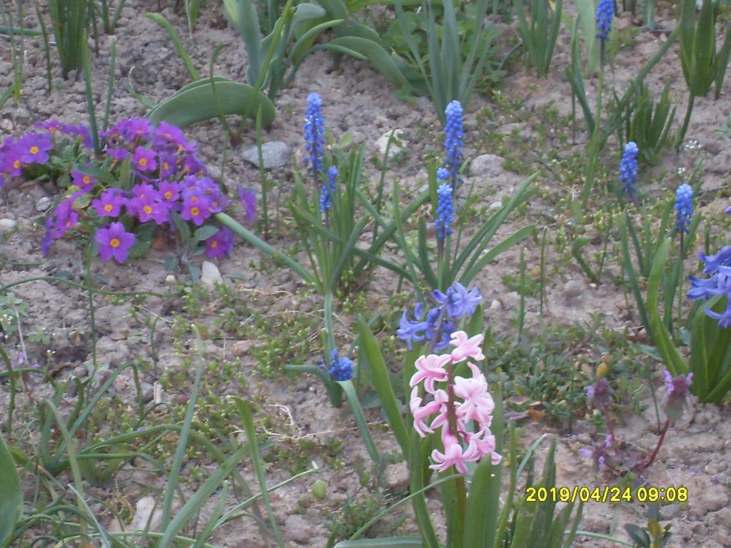 U Heleny i Piotra pokoje goscinne photo 3