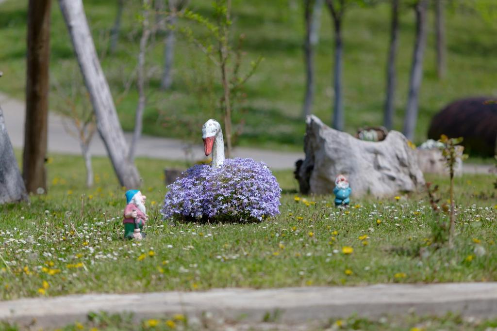 Peace of Nature *** photo 3