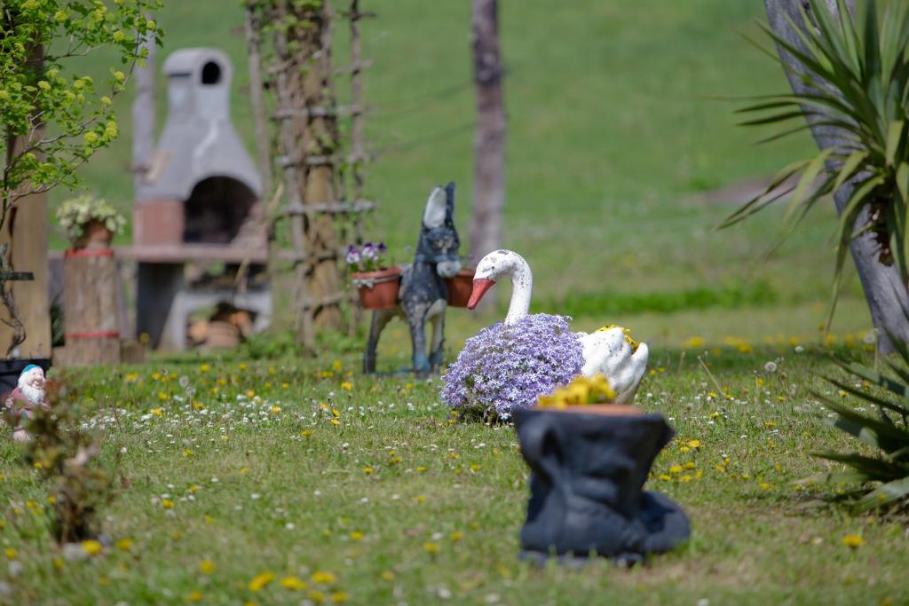 Peace of Nature *** photo 2