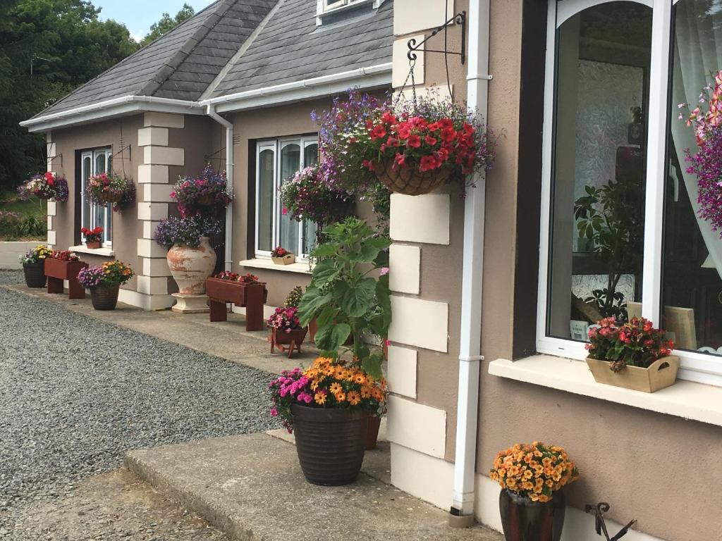 Killurin Lodge photo 2