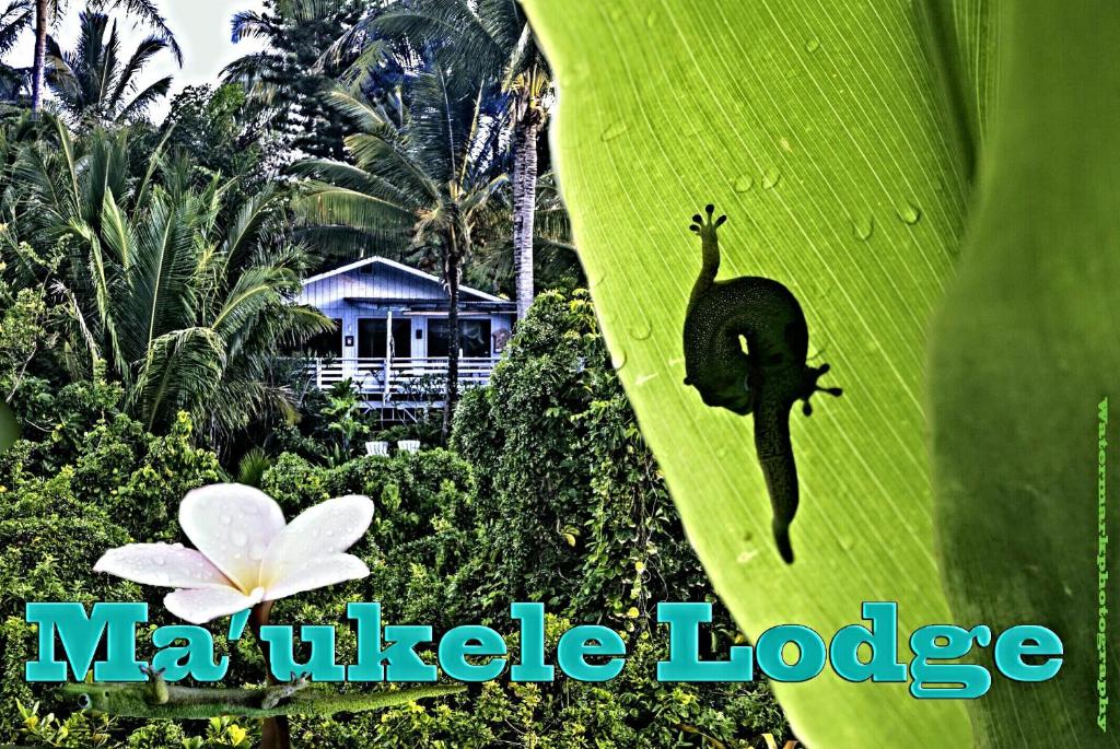 Ma'ukele Lodge image