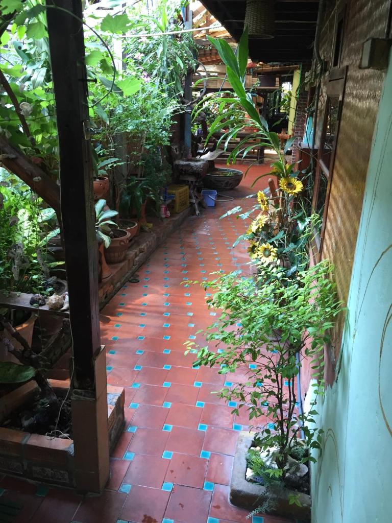 Одноместный (Бюджетный одноместный номер), Shanti Lodge