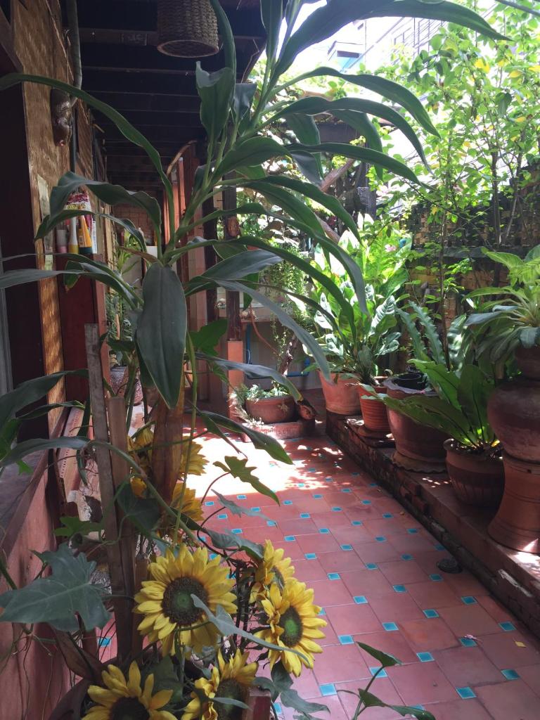 Одноместный (Бюджетный одноместный номер), Shanti Lodge
