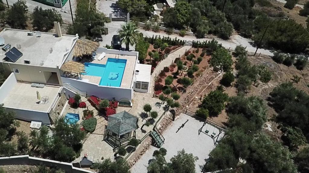 Villa Artemis photo 3