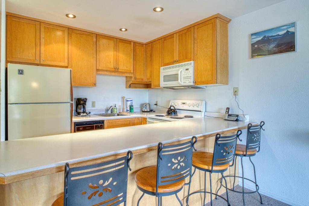 1 Bath Studio Apartment in Snowmass Village photo 4