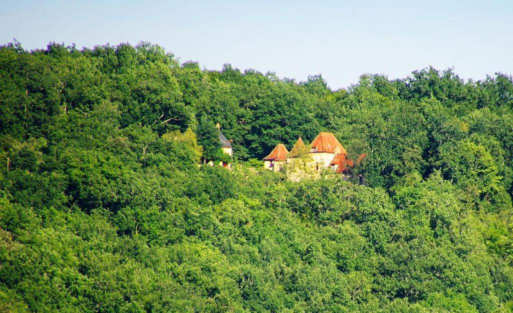Le Manoir du Rocher photo 3