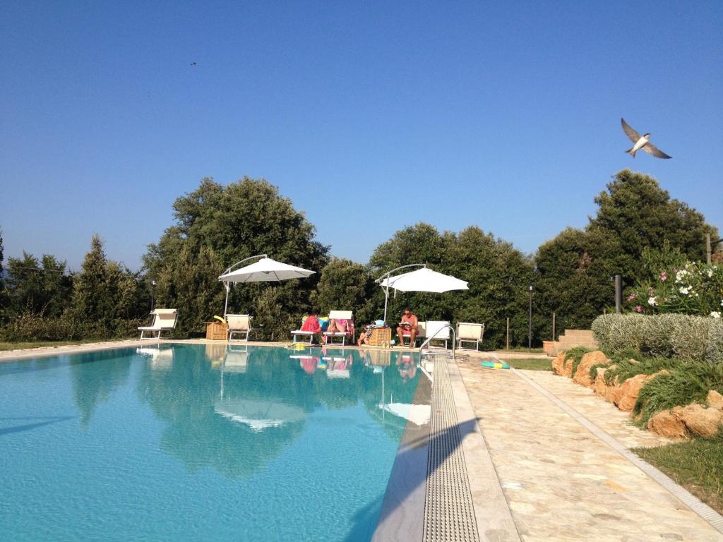 Donzellino photo 1