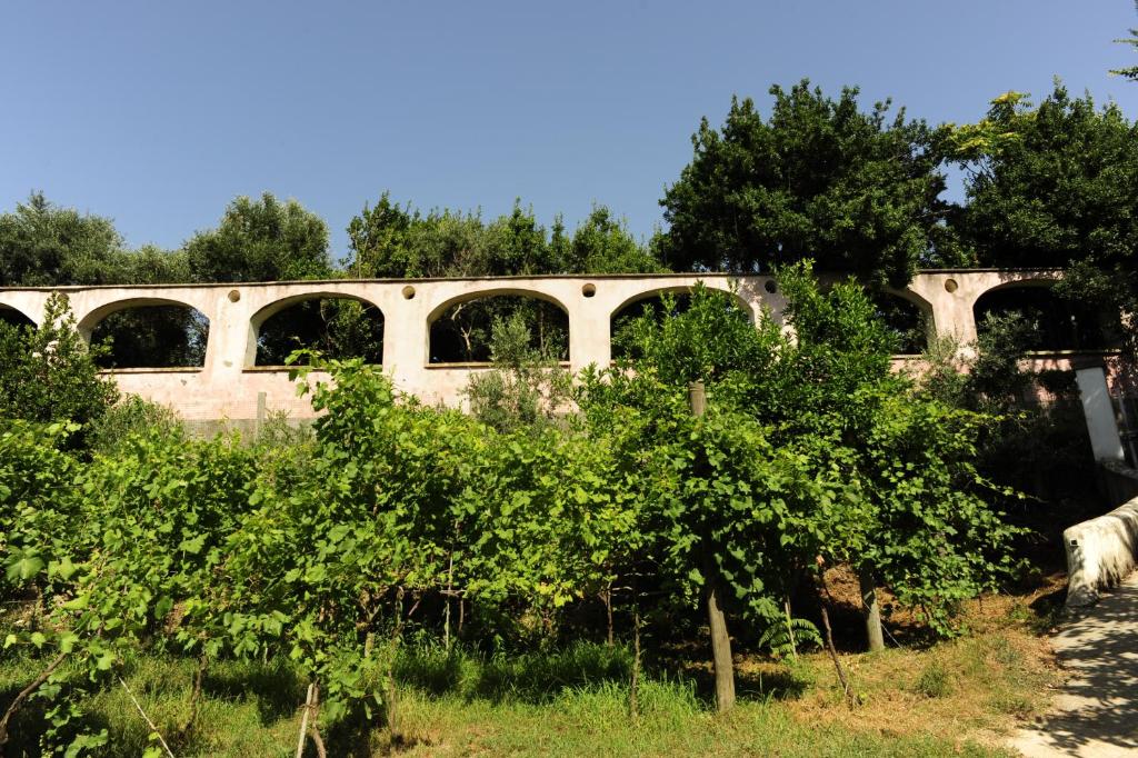 La rosa dei venti photo 2