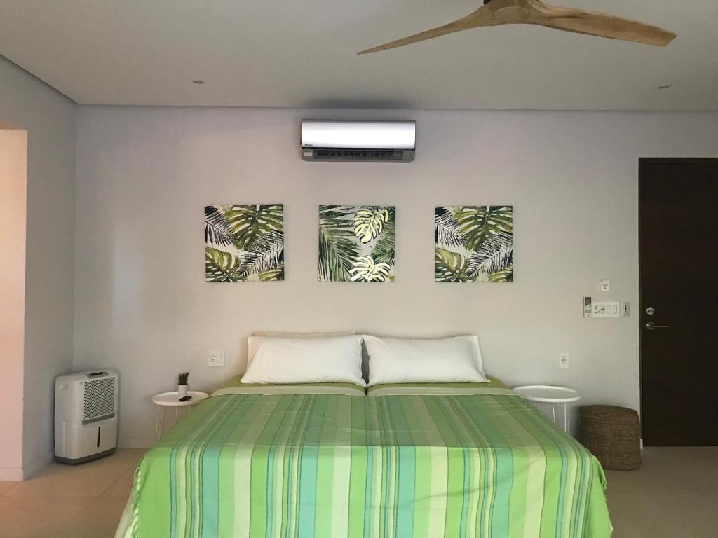 Casa Papito photo 3