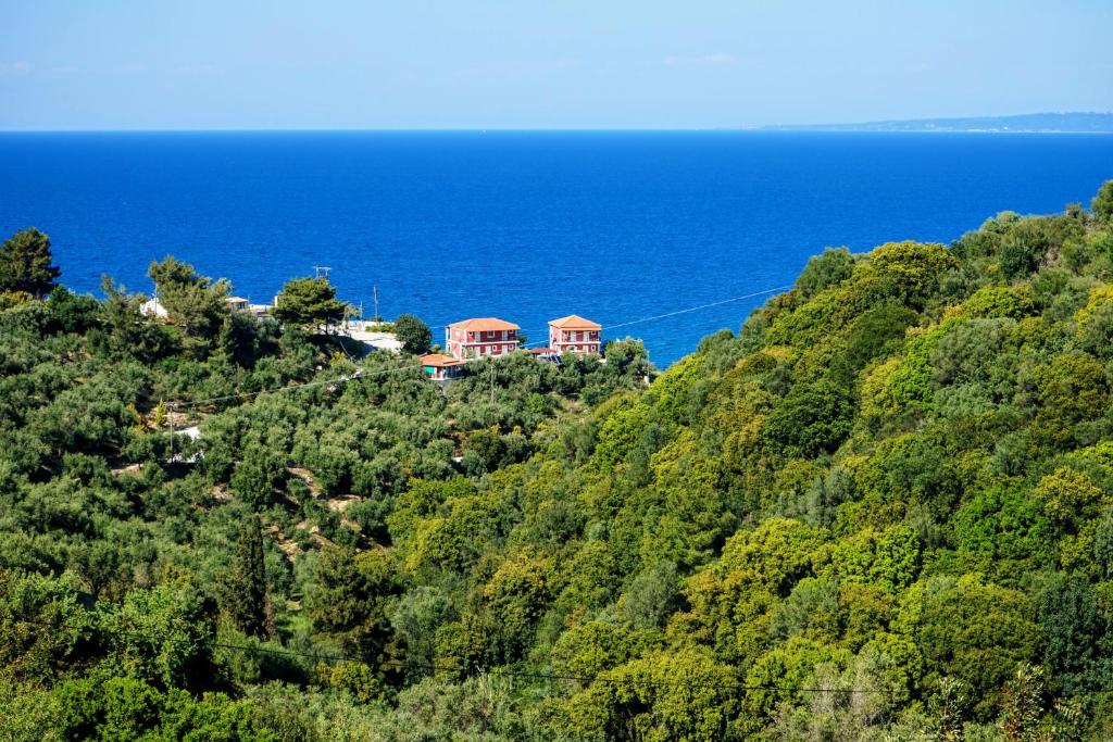 Villa Levante photo 1