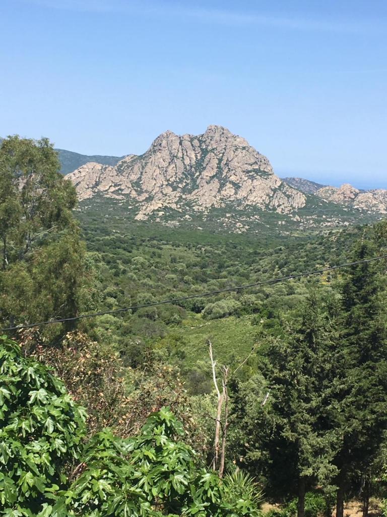 Relais de Saleccia photo 3
