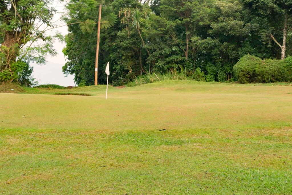 Tooro Fairway Hotel photo 3