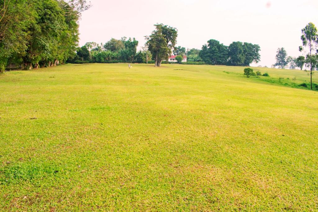 Tooro Fairway Hotel photo 4