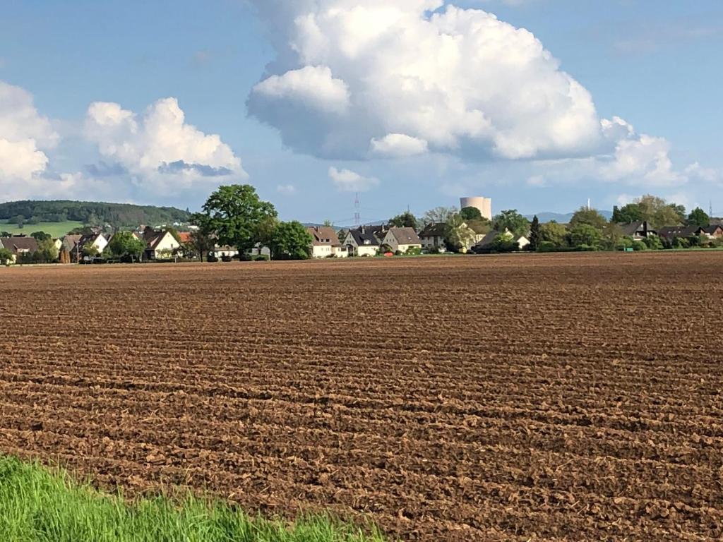 Ferienwohnung Hameln direkt am Weserradweg photo 4