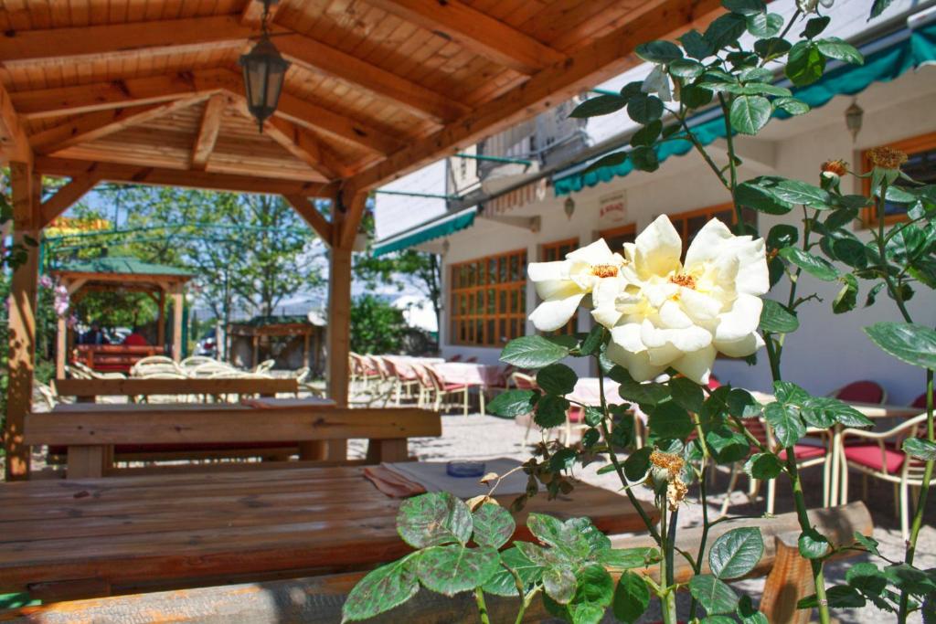 Apartmani S.KILAĆI photo 1