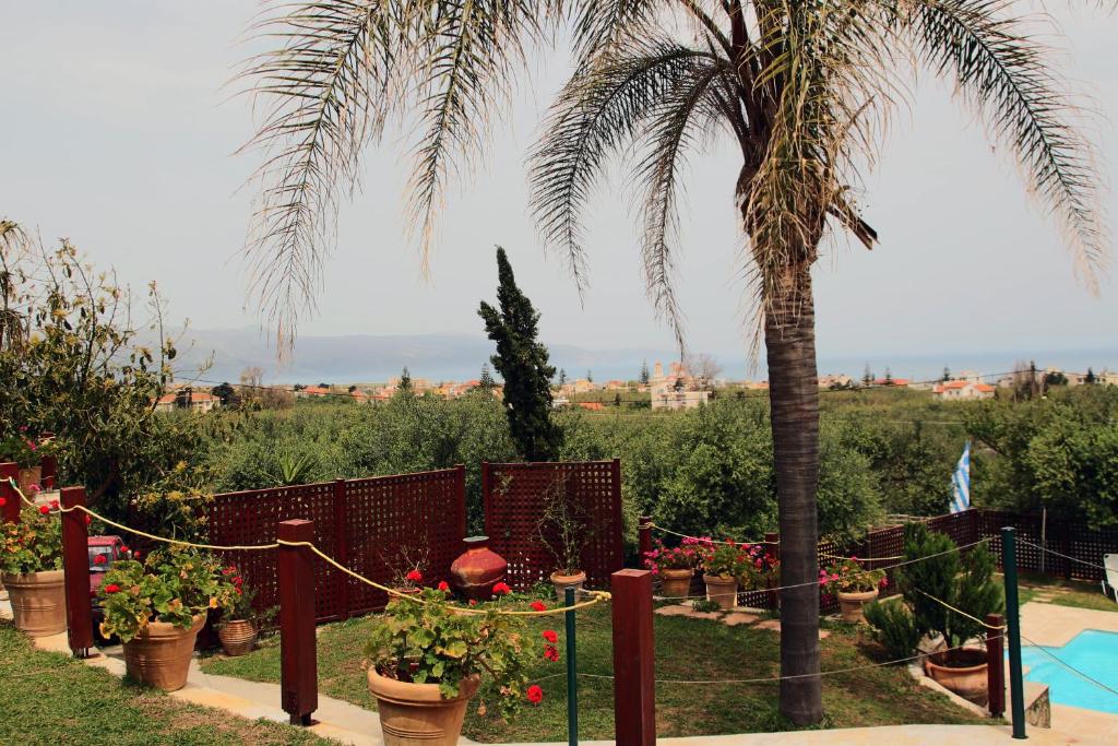 Villa Palma photo 2