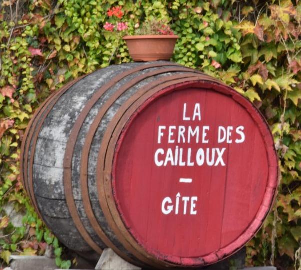 La ferme des Cailloux photo 1