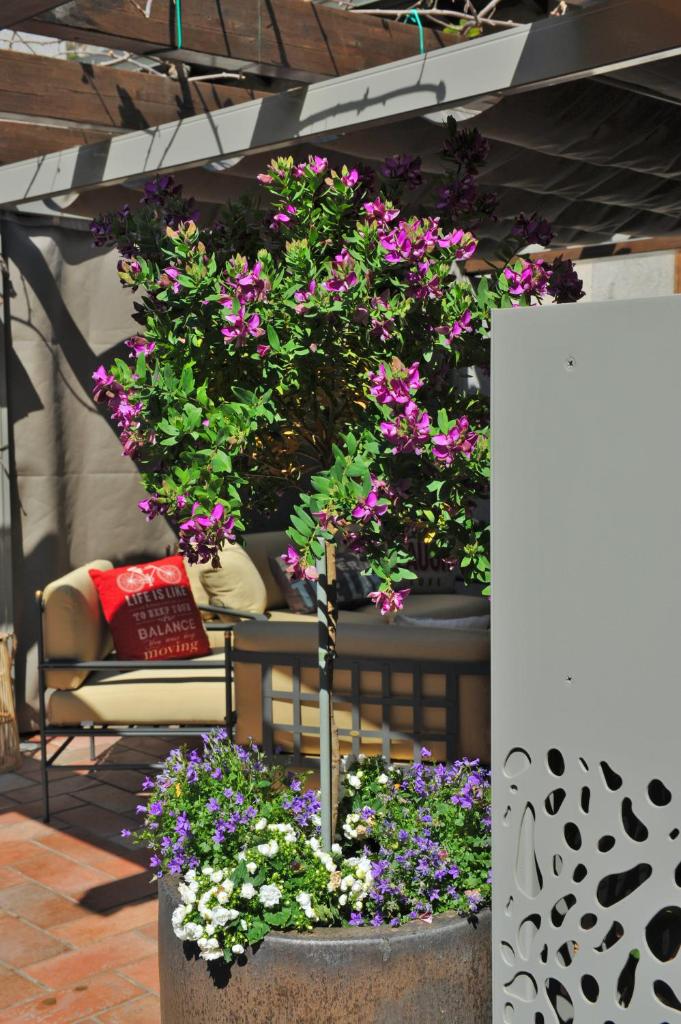 Bella Vacanza Limone photo 3