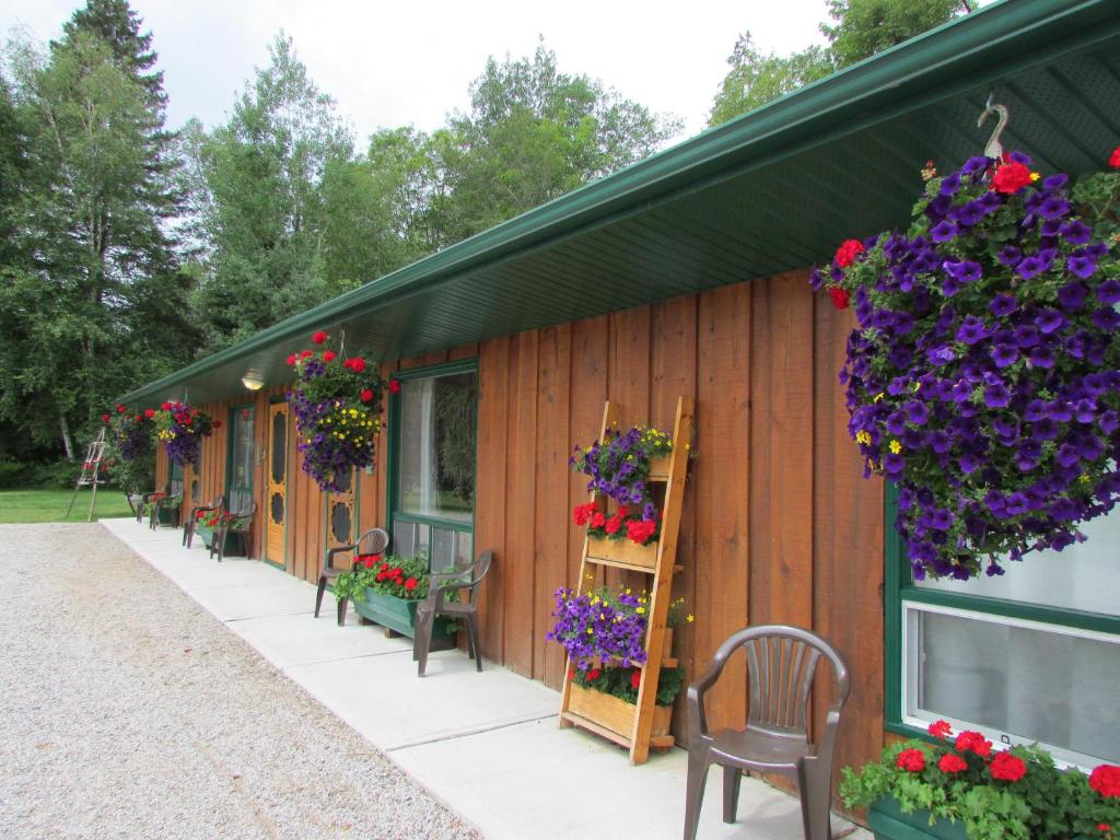 Dwight Village Motel photo 4