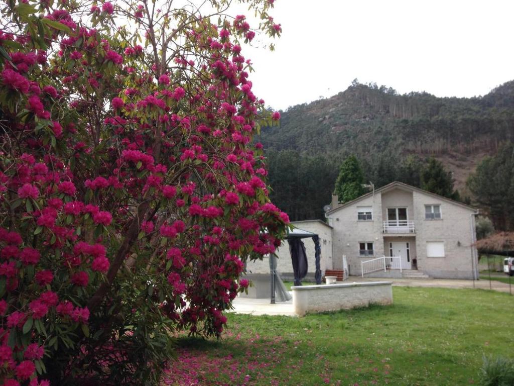Finca El Remanso photo 1