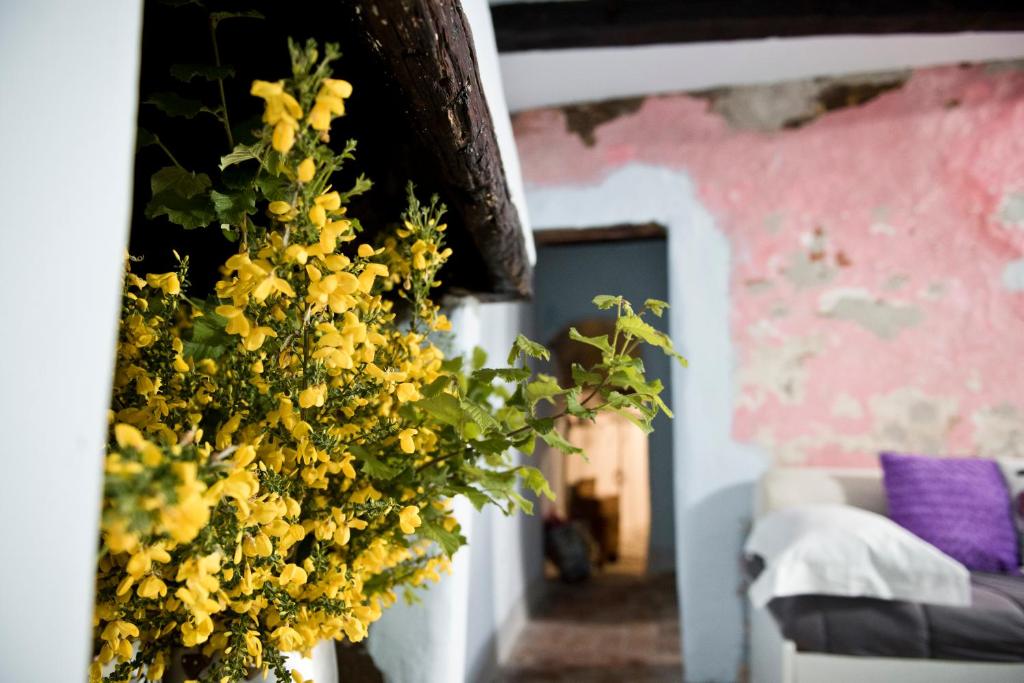 Giamevi House photo 3