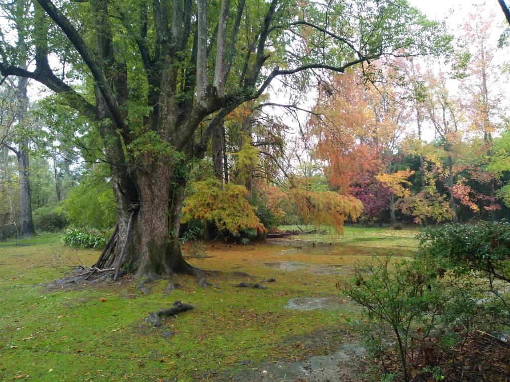 Villa Ocampo photo 3