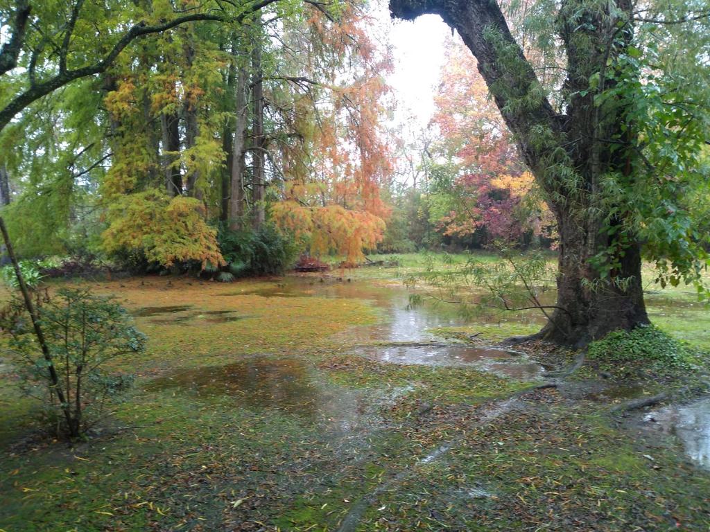 Villa Ocampo photo 2
