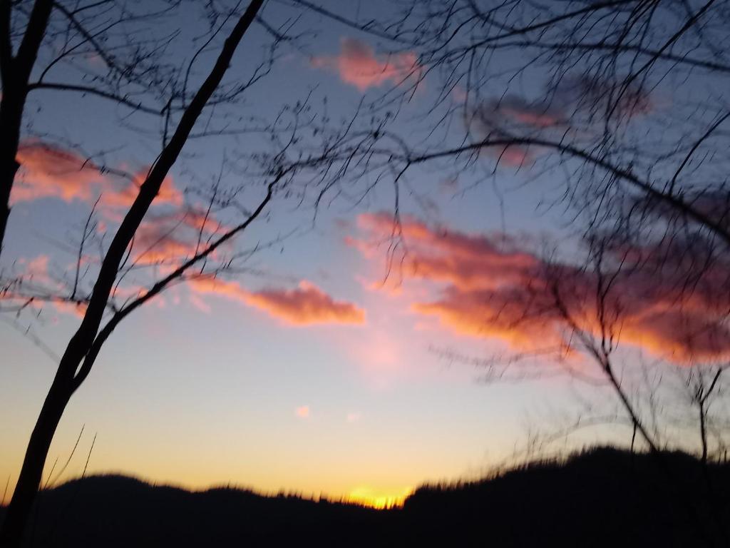 Počitniška hiša Pologar photo 3