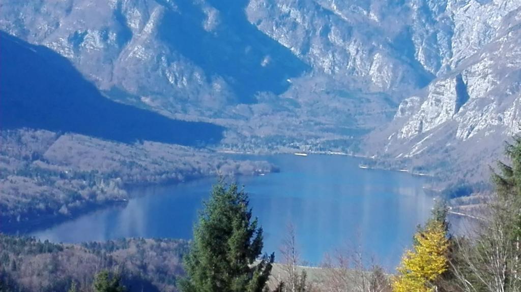 Apartmaji Korošec na Koprivniku photo 1